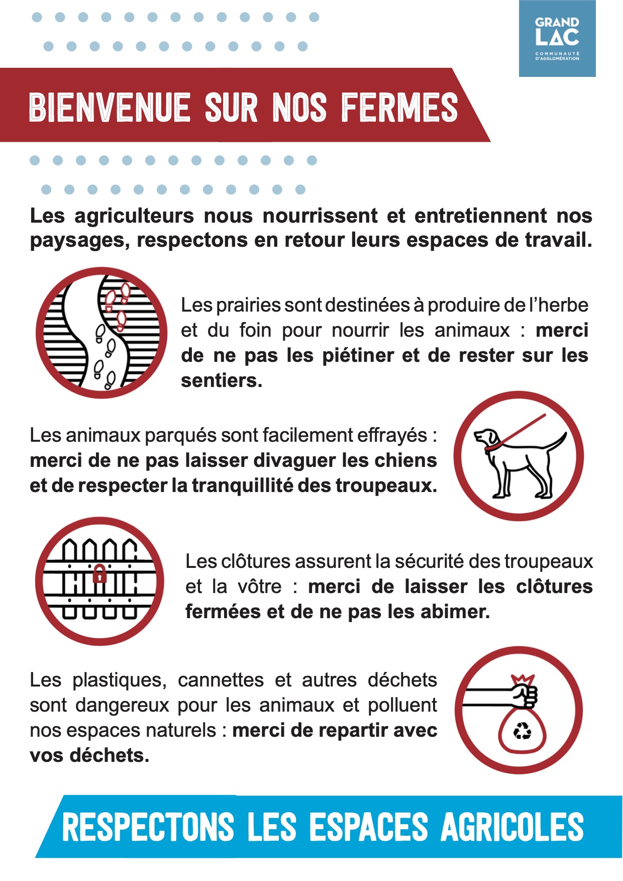 Affiche _grandlac